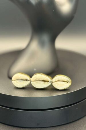 photo 2026 03 21 20 08 12 2