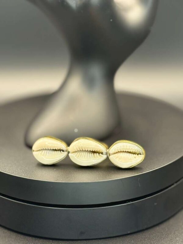 photo 2026 03 21 20 08 12 2