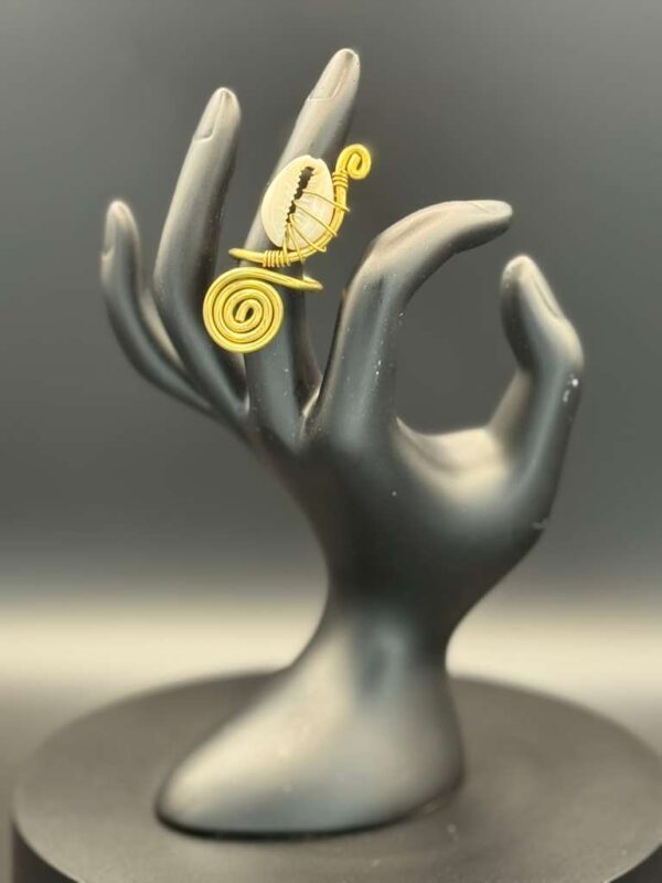 photo 2026 03 21 20 08 12 4