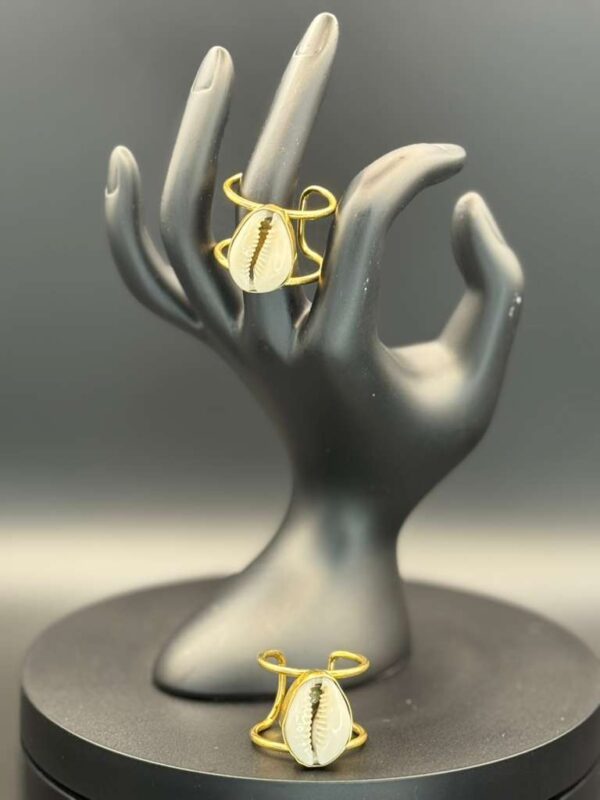 photo 2026 03 21 20 08 13 3