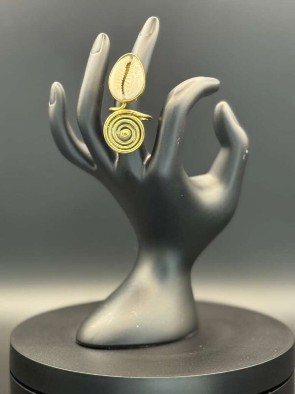 photo 2026 03 21 20 08 13 4