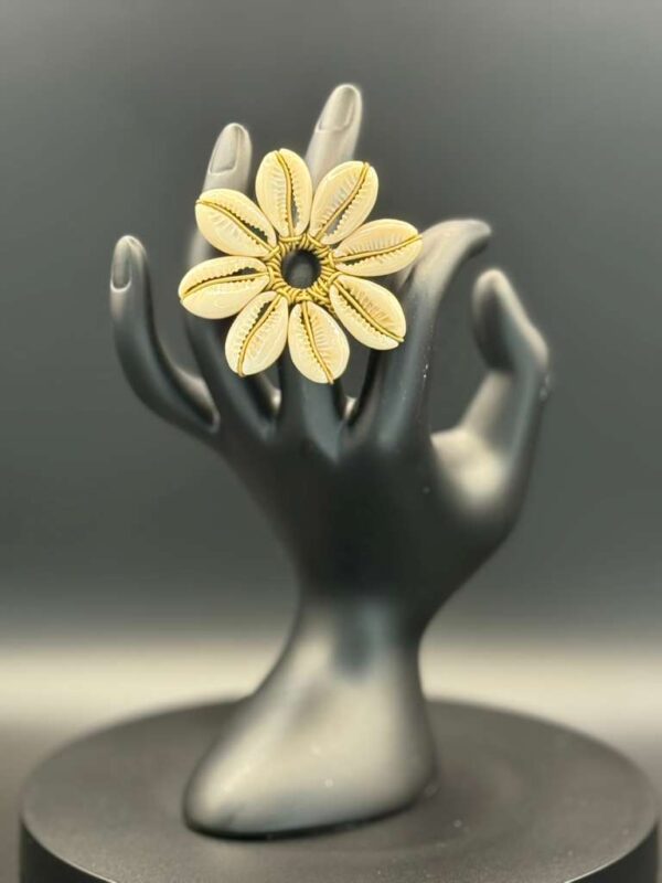 photo 2026 03 21 20 08 14 2