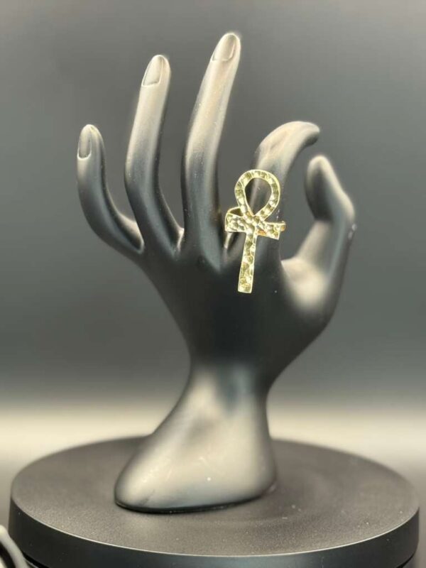 photo 2026 03 21 20 08 14 4