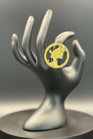 photo 2026 03 21 20 08 16