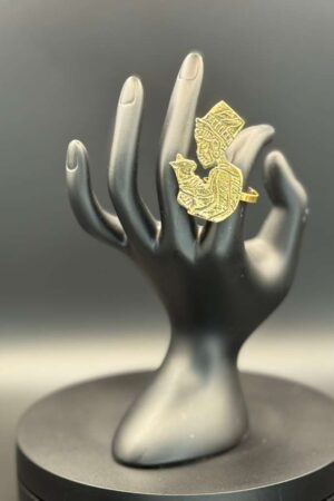 photo 2026 03 21 20 08 16 2