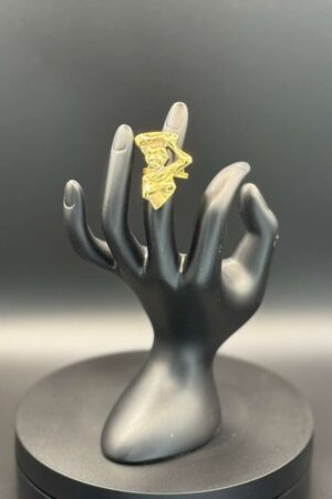 photo 2026 03 21 20 08 16 5