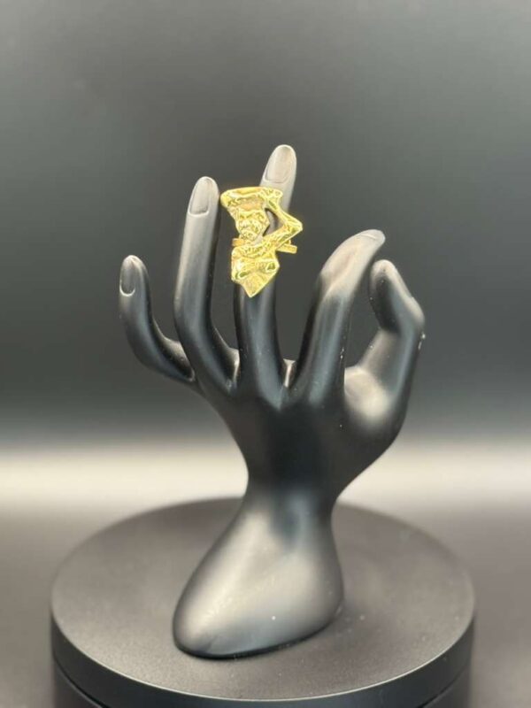 photo 2026 03 21 20 08 16 5