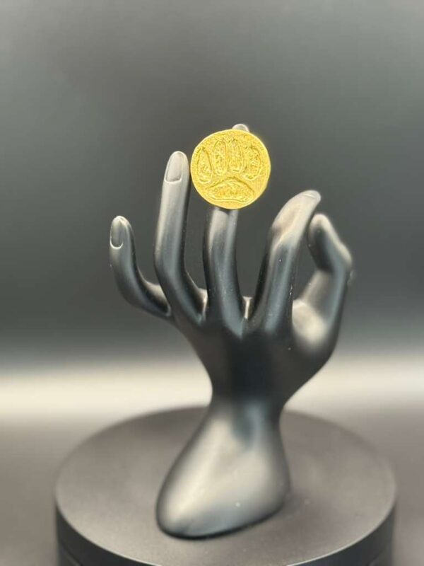 photo 2026 03 21 20 08 17 2