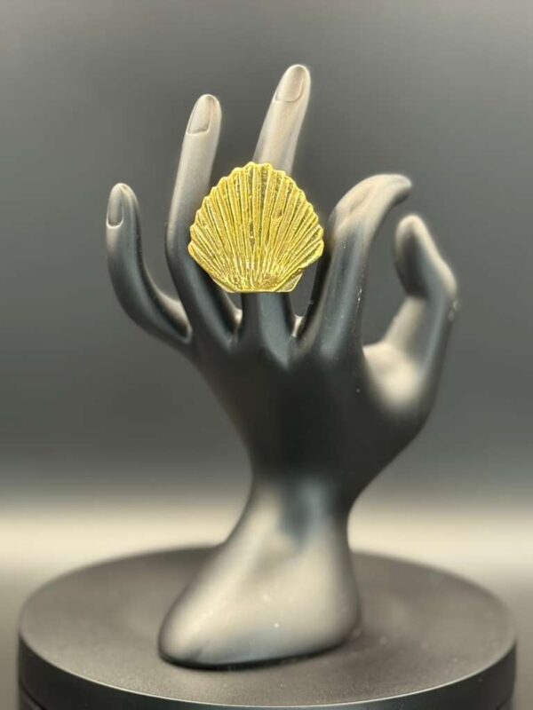 photo 2026 03 21 20 08 18