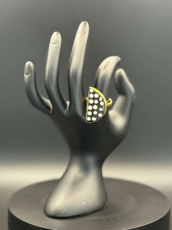 photo 2026 03 21 20 08 48