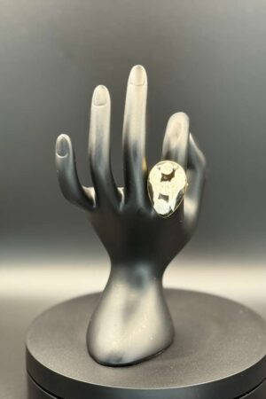 photo 2026 03 21 20 08 48 1