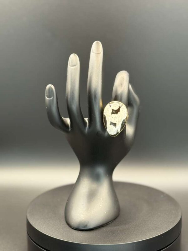 photo 2026 03 21 20 08 48 1