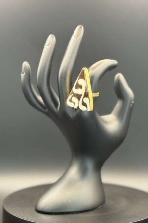 photo 2026 03 21 20 08 48 3