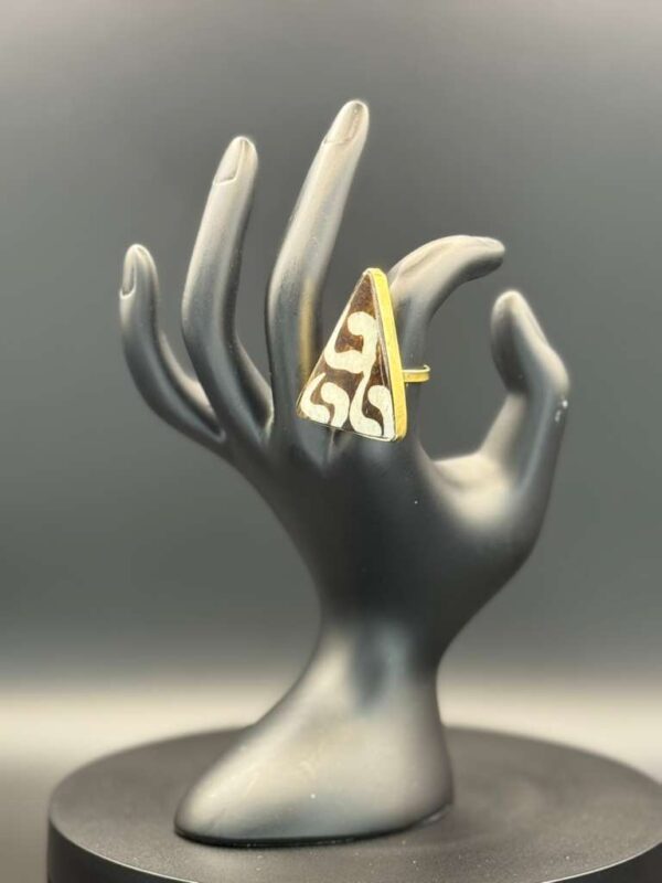 photo 2026 03 21 20 08 48 3