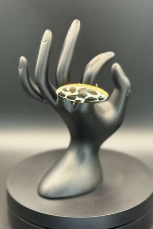 photo 2026 03 21 20 08 48 4