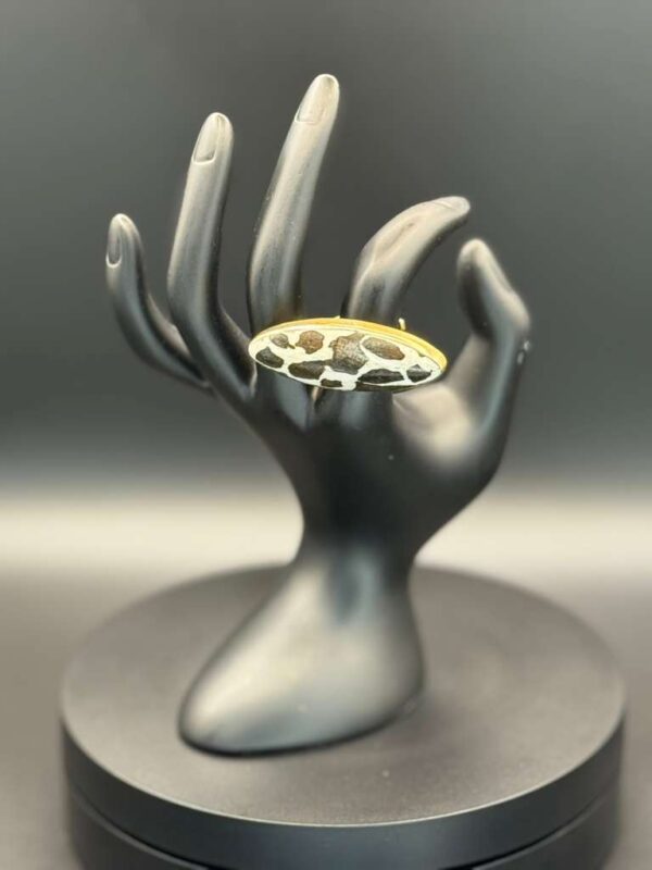 photo 2026 03 21 20 08 48 4