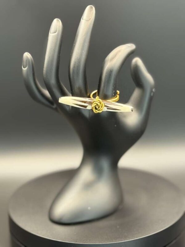 photo 2026 03 21 20 08 48 5