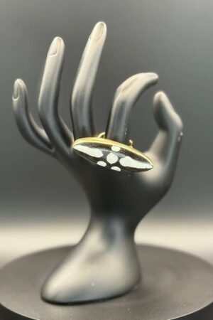 photo 2026 03 21 20 08 48 6