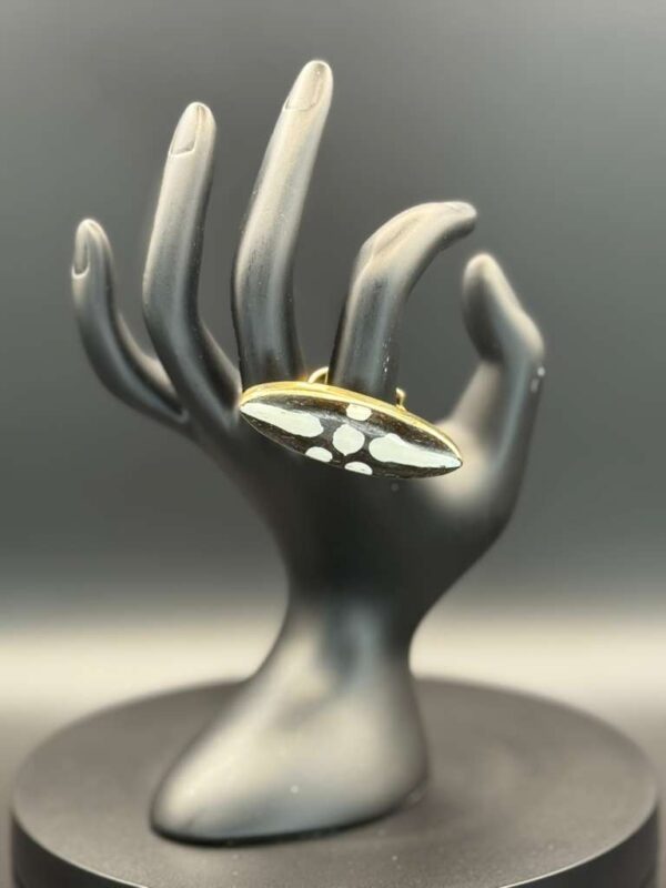 photo 2026 03 21 20 08 48 6