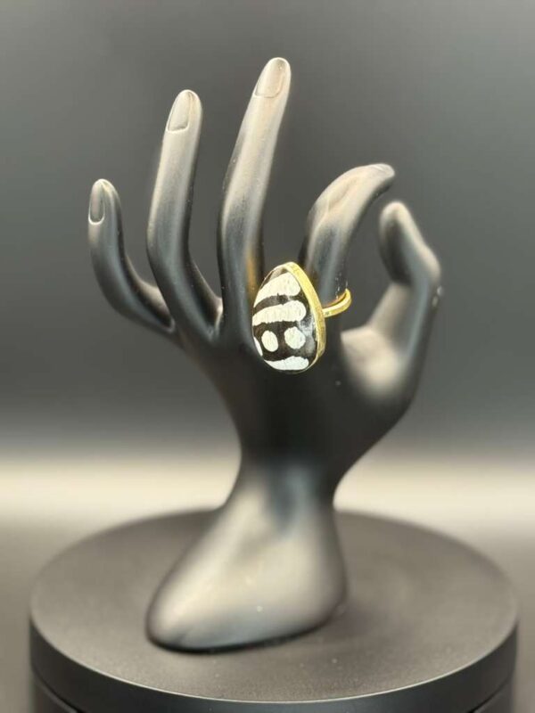 photo 2026 03 21 20 08 49