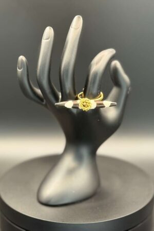 photo 2026 03 21 20 08 49 1