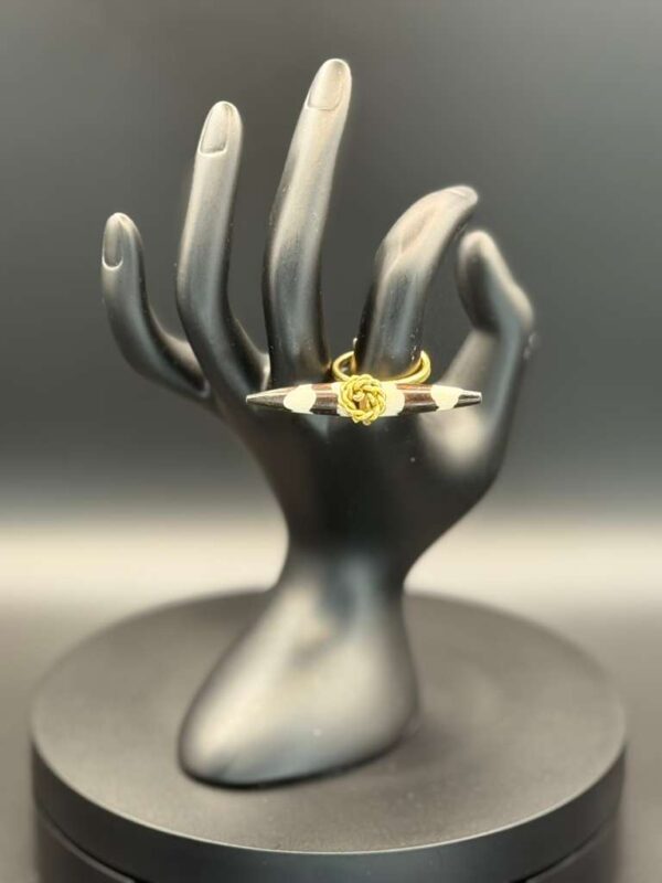 photo 2026 03 21 20 08 49 1