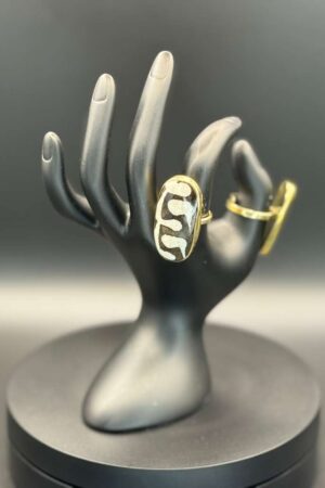 photo 2026 03 21 20 08 49 2