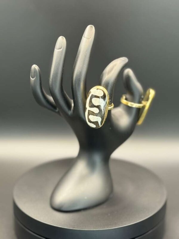 photo 2026 03 21 20 08 49 2