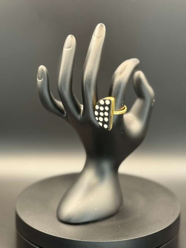 photo 2026 03 21 20 08 49 4