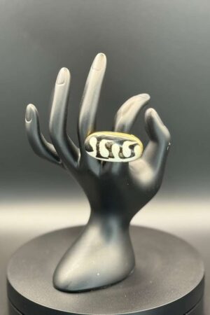 photo 2026 03 21 20 08 49 5