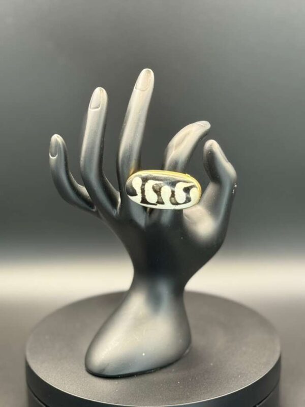 photo 2026 03 21 20 08 49 5