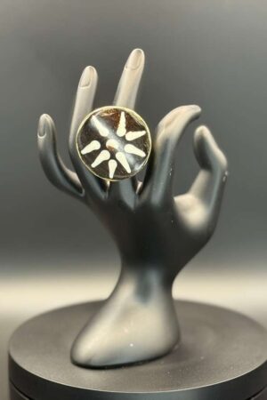 photo 2026 03 21 20 08 49 7