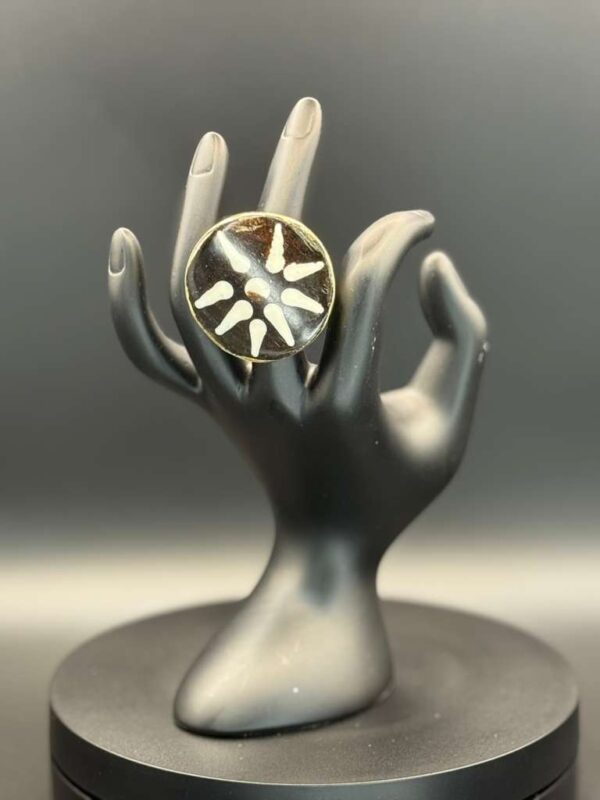 photo 2026 03 21 20 08 49 7