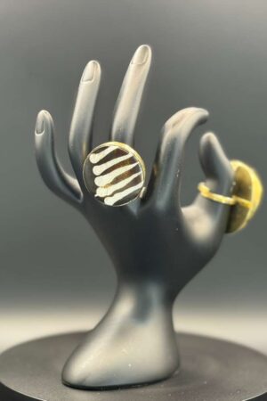 photo 2026 03 21 20 08 50 1