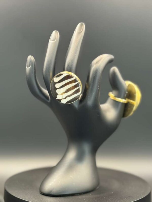 photo 2026 03 21 20 08 50 1