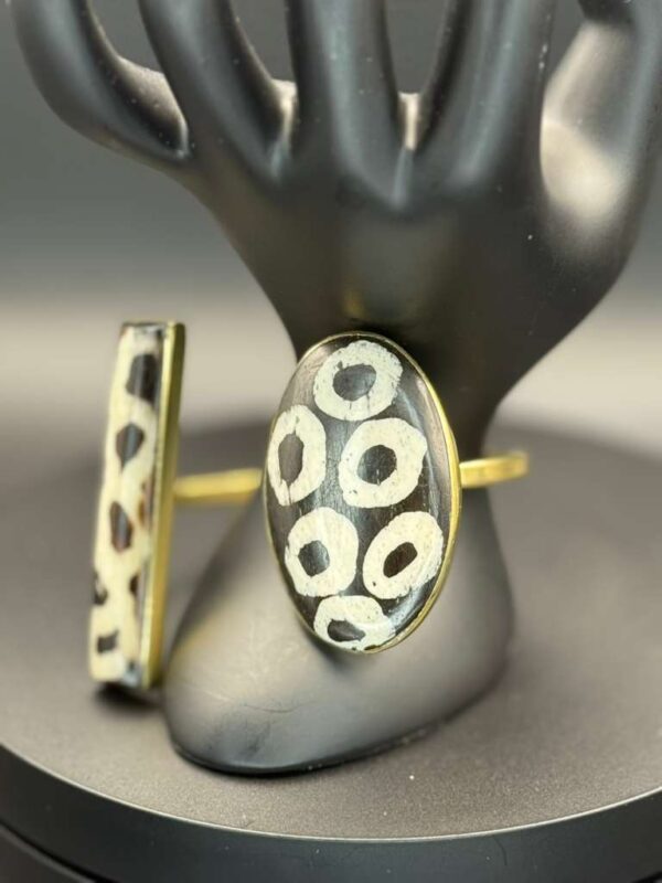 photo 2026 03 21 20 09 17