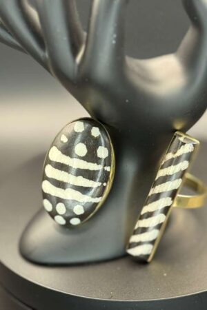 photo 2026 03 21 20 09 17 3