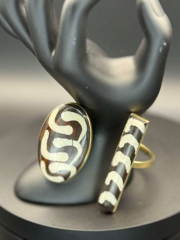 photo 2026 03 21 20 09 18 1