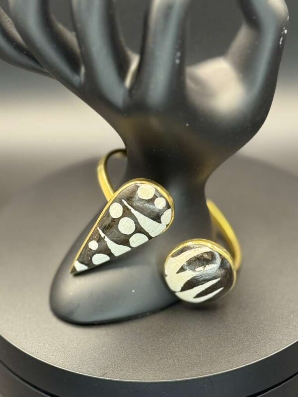 photo 2026 03 21 20 09 18 6