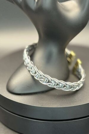 photo 2026 03 21 21 28 35 3