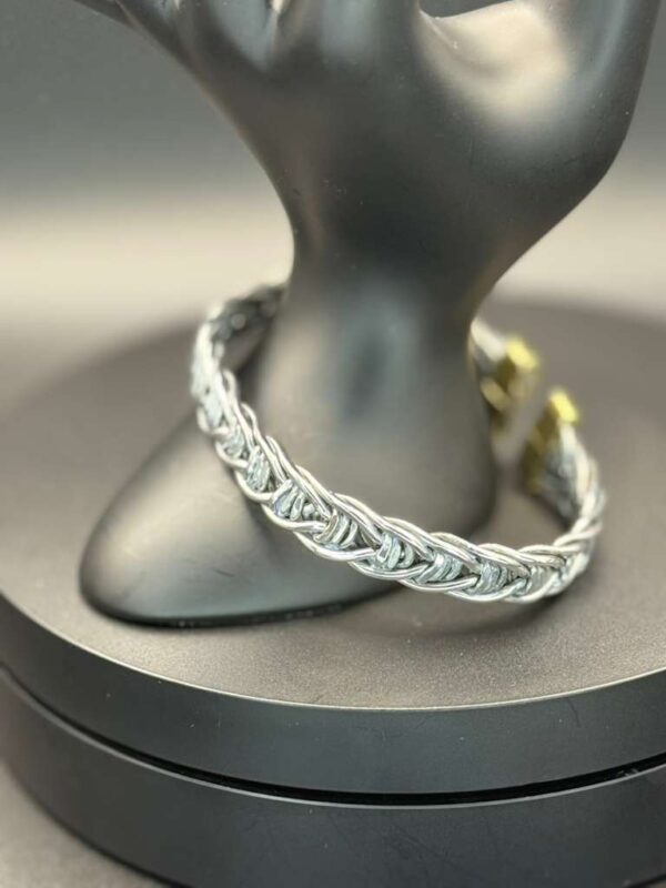 photo 2026 03 21 21 28 35 3