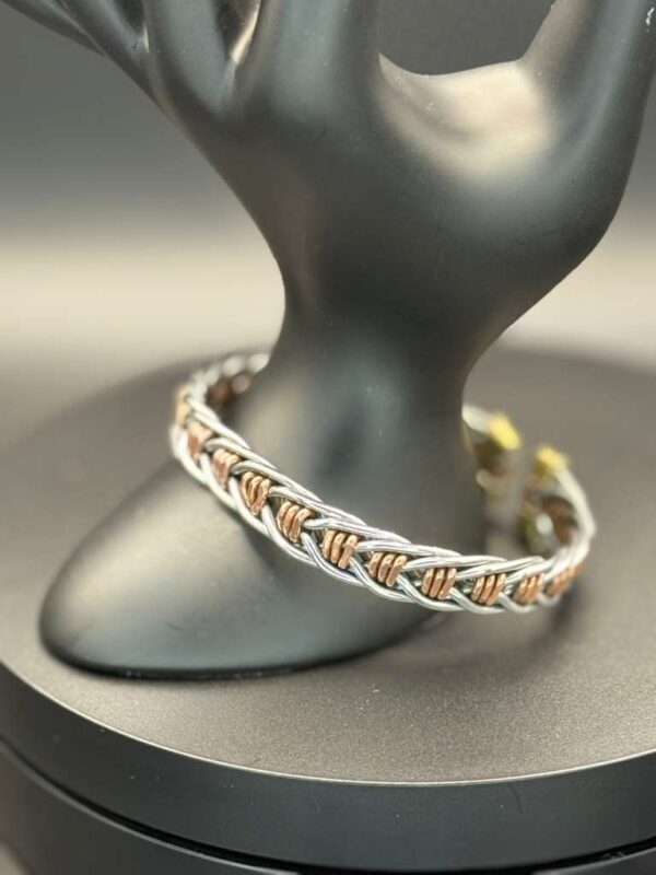 photo 2026 03 21 21 28 35 4